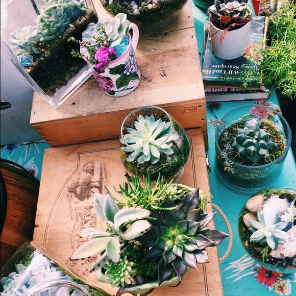 Meet your Posher, Savannah