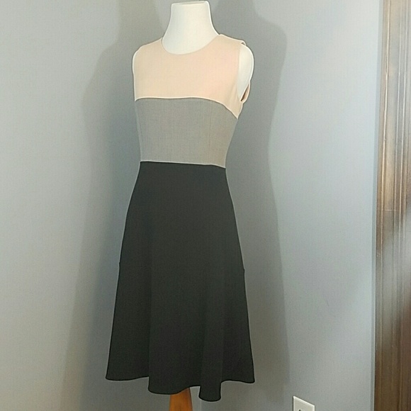 Calvin Klein Colorblock Dress