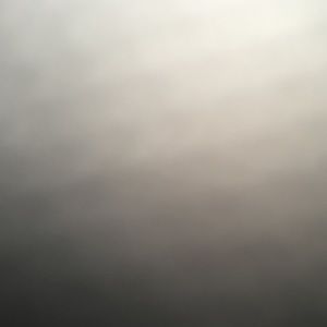 Meet your Posher, Bethanie