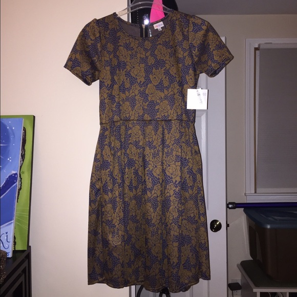 LuLaRoe Amelia dress size XL