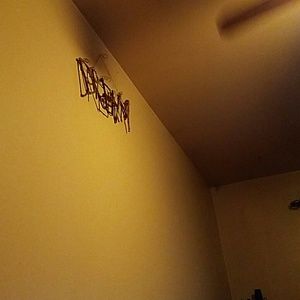 Meet your Posher, Diontae