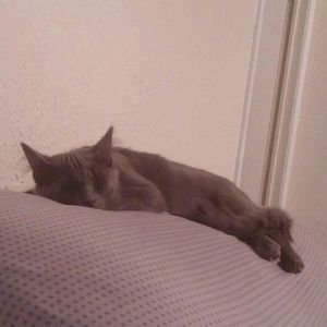 Meet your Posher, Cathy