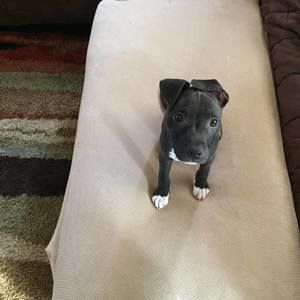 Meet your Posher, Cari