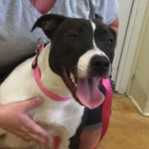 Meet your Posher, Angie