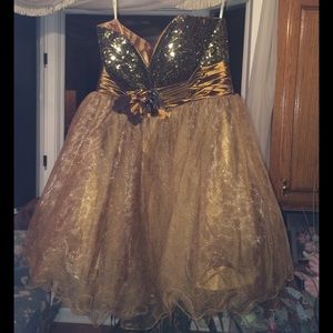 Semi-formal/Formal/Prom Dress