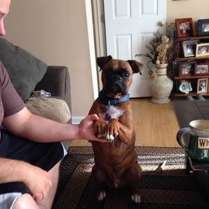 Meet your Posher, Melinda