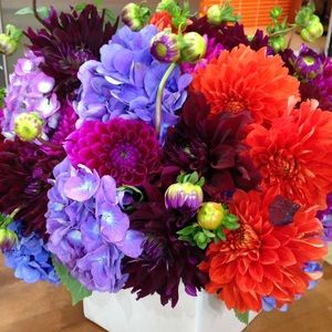 Meet your Posher, Carrie