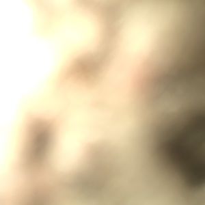 Meet your Posher, Dante