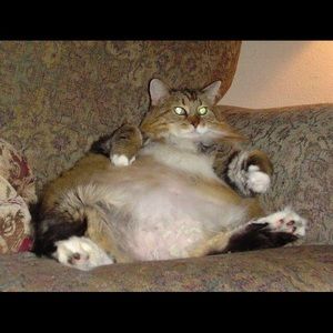 Meet your Posher, Tatsiana