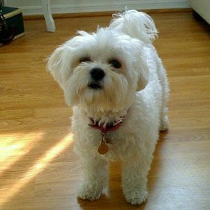 Meet your Posher, Brooke