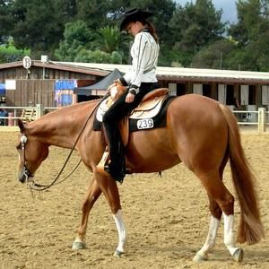 Meet your Posher, Jamie