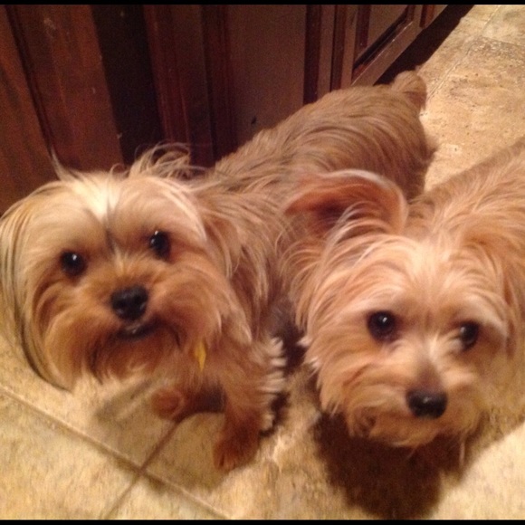 โ ๏ธMeet Meโ ๏ธ - Picture 3 of 3