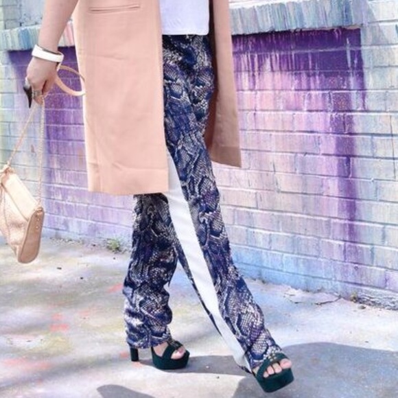 Purple & Blue Snakeskin Print Jogger Pants - Picture 4 of 4