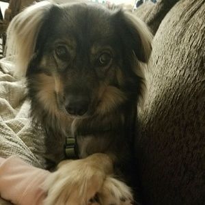 Meet your Posher, Jillian