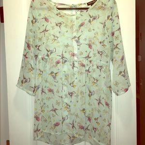 Sheer Hummingbirds Top