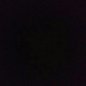 Meet your Posher, Jesse