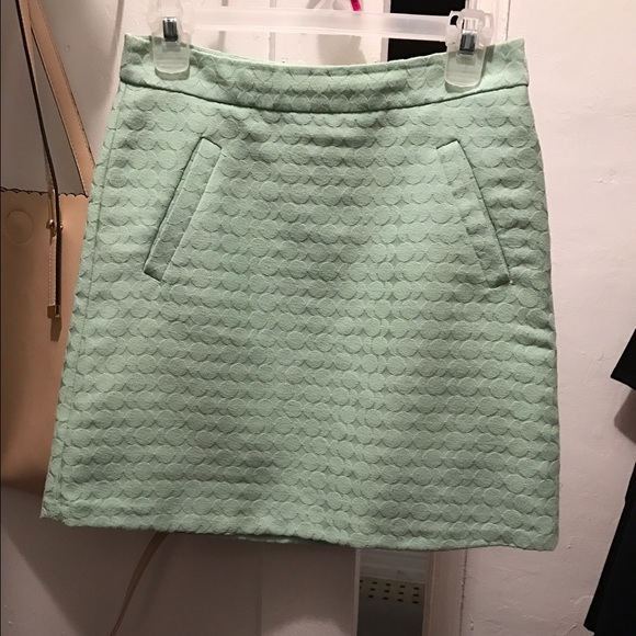 Mint the limited skirt
