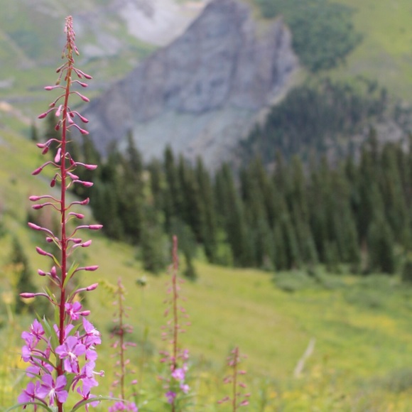 Meet your Posher, Caleb