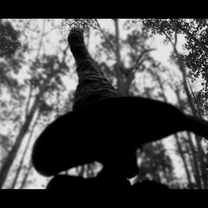 Meet your Posher, Rosa