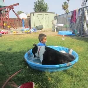 Meet your Posher, Carol