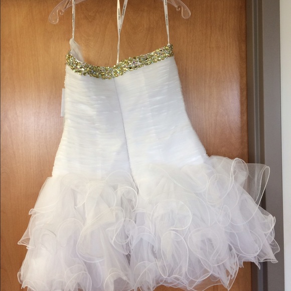 Cocktail/Prom Dress - Picture 4 of 4