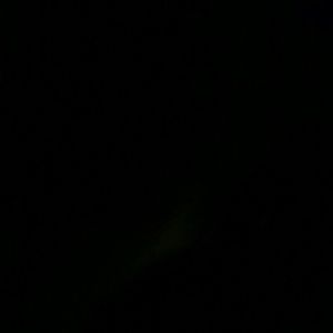 Meet your Posher, Francine