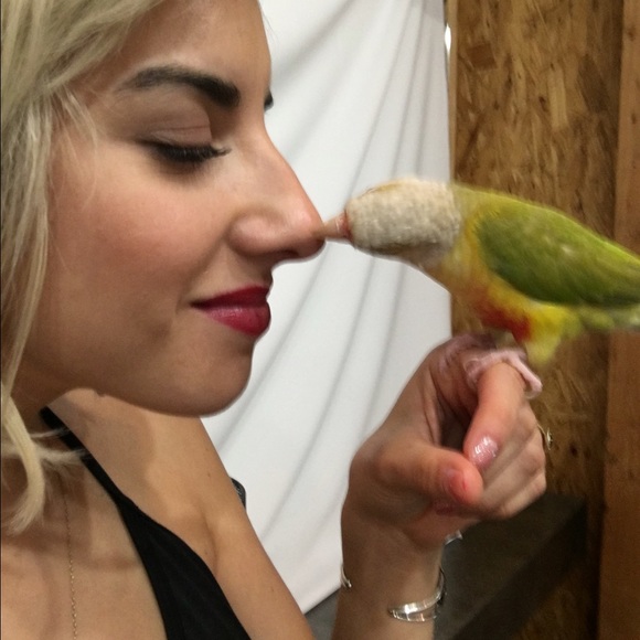 Meet your Posher, Diamond