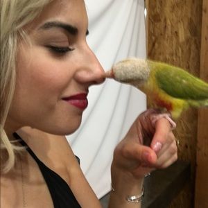 Meet your Posher, Diamond