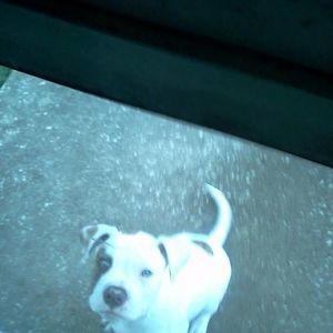 Meet your Posher, Kenneth