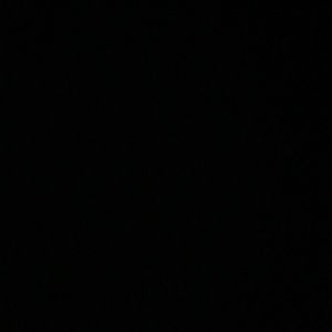 Meet your Posher, Ava