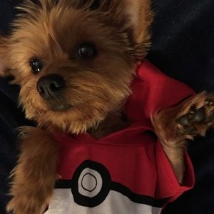 Meet your Posher, Justin