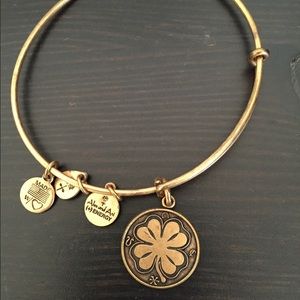 Alex and Ani bracelet