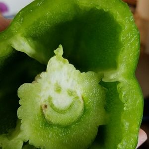 Meet your Posher, Carrie