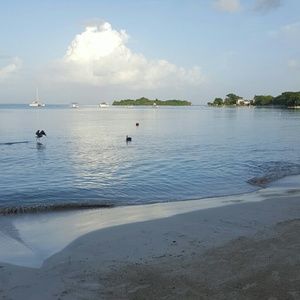 Meet your Posher, Tauron