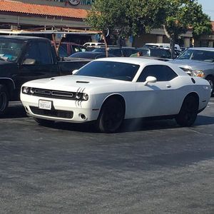 Meet your Posher, Luis