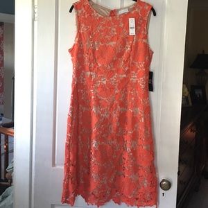 NY & Co beautiful orange lace dress in Sz 14
