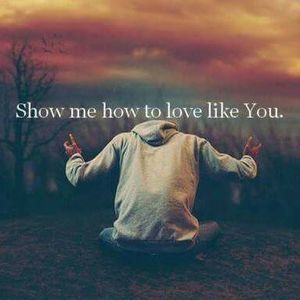 Meet your Posher, Shelly