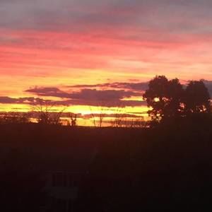 Meet your Posher, Robin