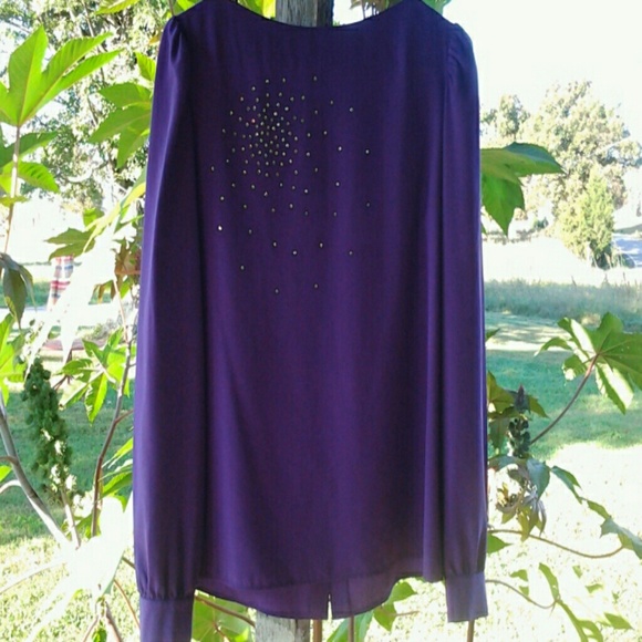 Beautiful  SPARKLING  BLOUSE.