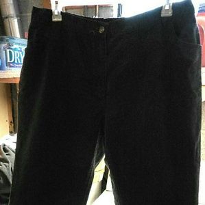 Woman Within Black Jeans (Size 22WP)