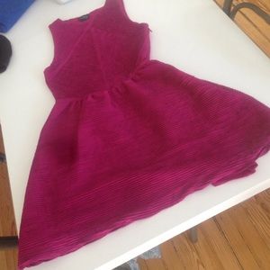 Fushia Top Shop Dress