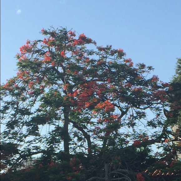 Meet your Posher, Sydnei