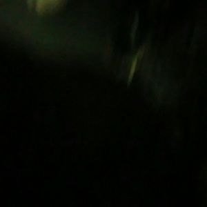 Meet your Posher, Lynn