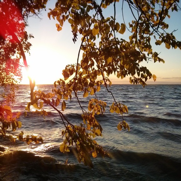 Meet your Posher, Raquel - Picture 1 of 1