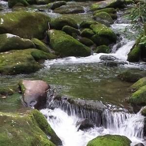 Meet your Posher, Shawna