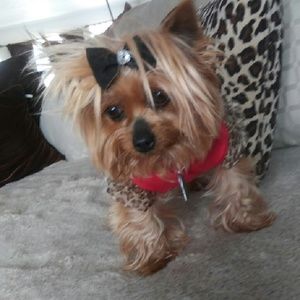 Meet your Posher, Cecilio