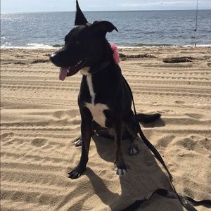 Meet your Posher, Natasha