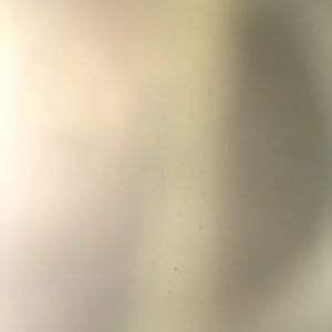 Meet your Posher, Darlisj