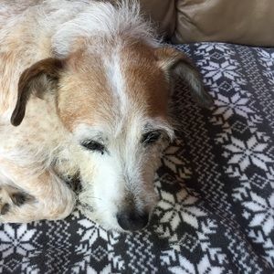 Meet your Posher, Inge