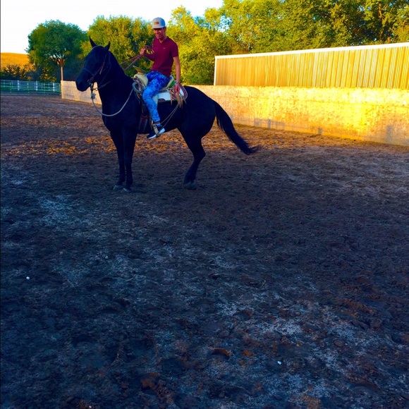 Meet your Posher, Jose - Picture 1 of 1